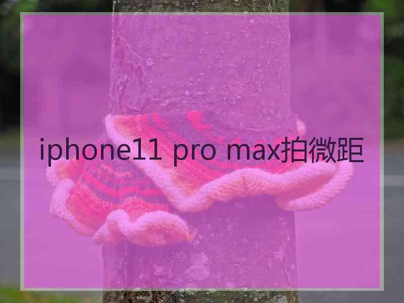 iphone11 pro max拍微距