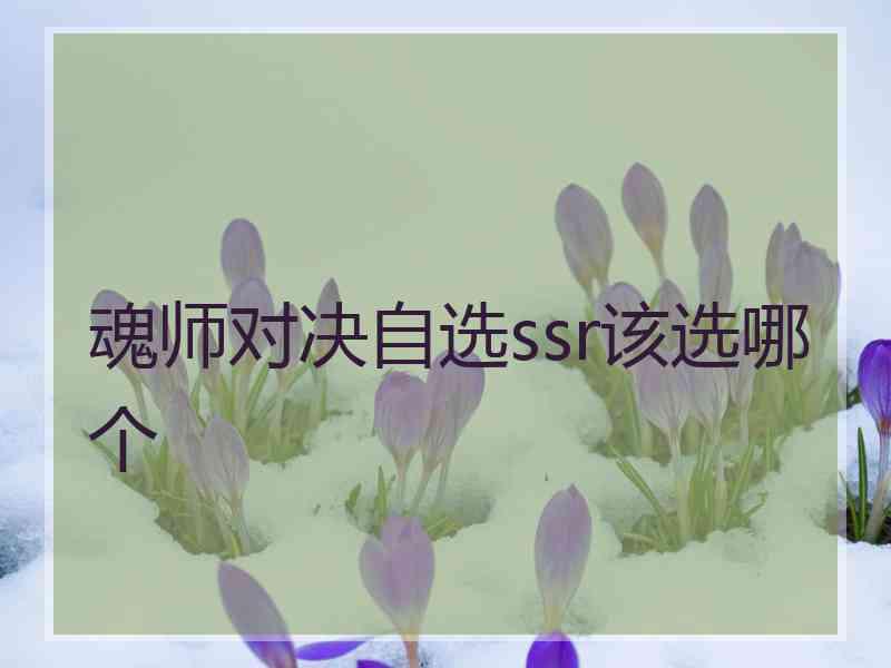 魂师对决自选ssr该选哪个