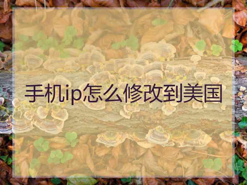 手机ip怎么修改到美国