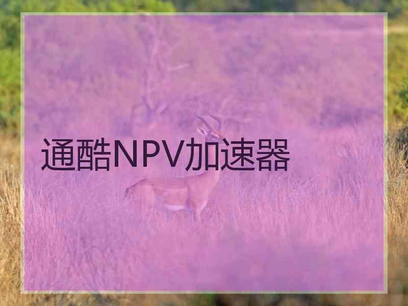 通酷NPV加速器