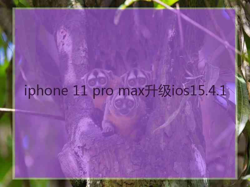 iphone 11 pro max升级ios15.4.1