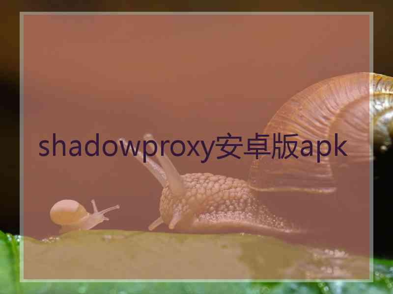 shadowproxy安卓版apk