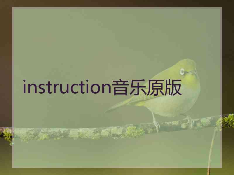 instruction音乐原版