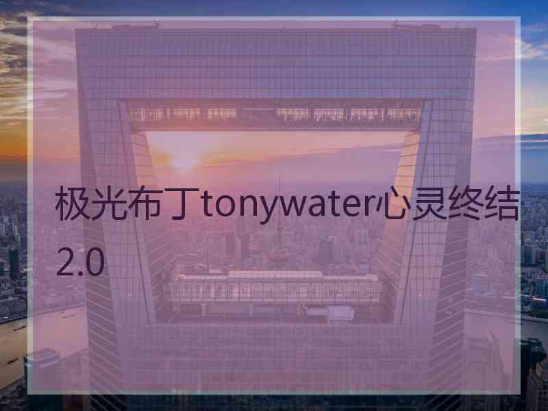 极光布丁tonywater心灵终结2.0