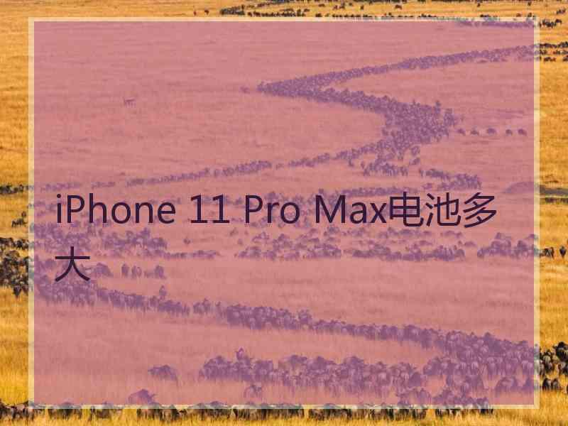 iPhone 11 Pro Max电池多大