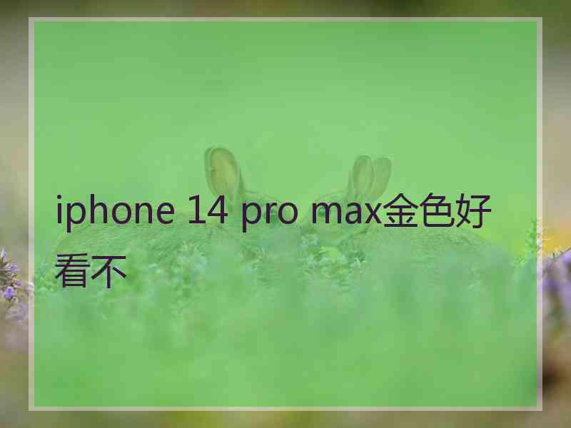 iphone 14 pro max金色好看不