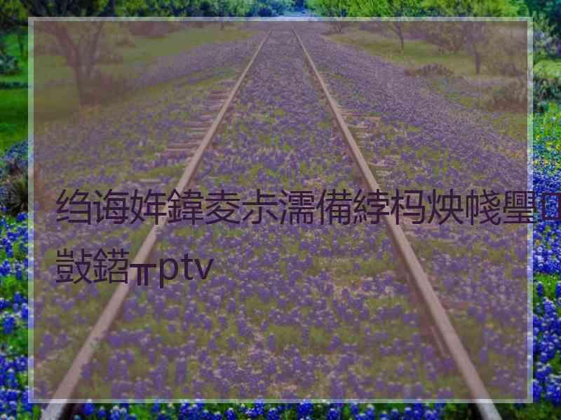 绉诲姩鍏夌尗濡備綍杩炴帴璺敱鍣╥ptv