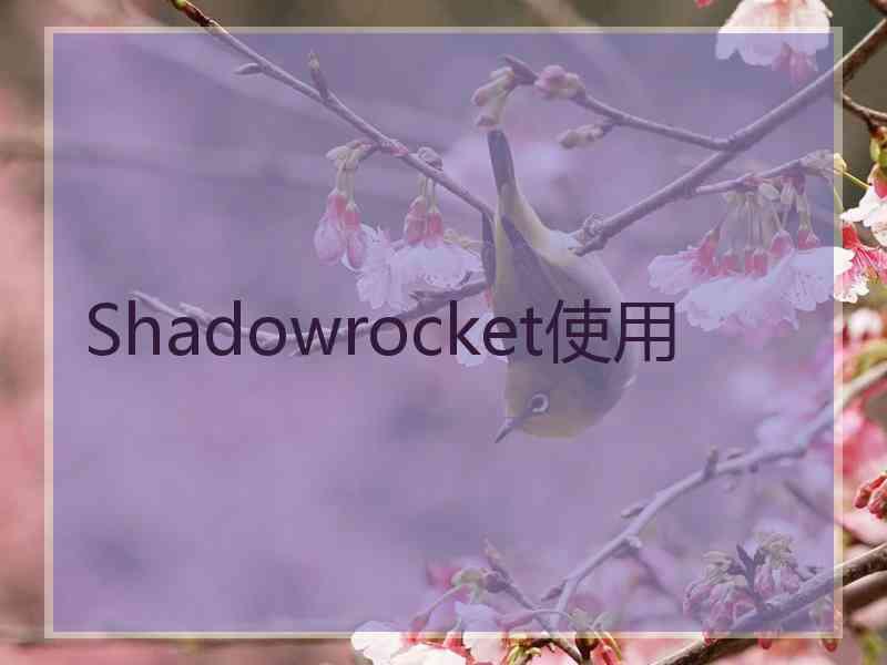 Shadowrocket使用