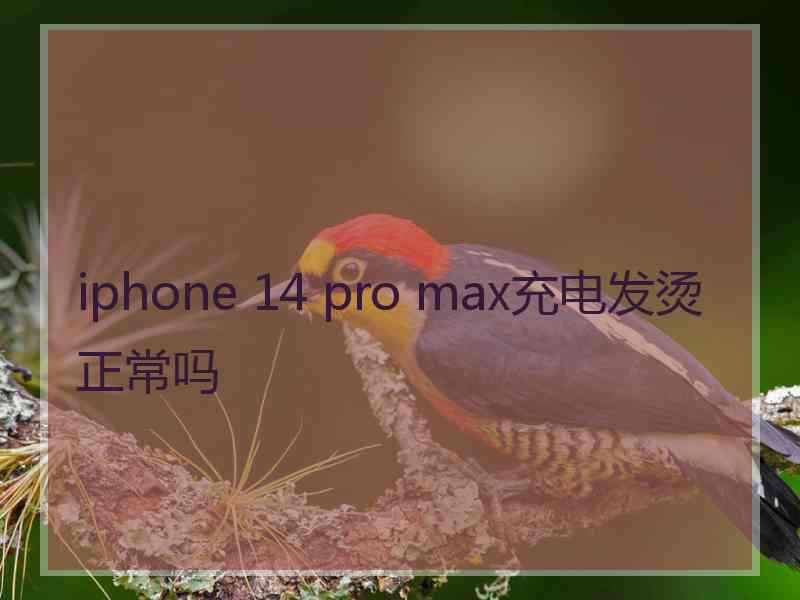 iphone 14 pro max充电发烫正常吗