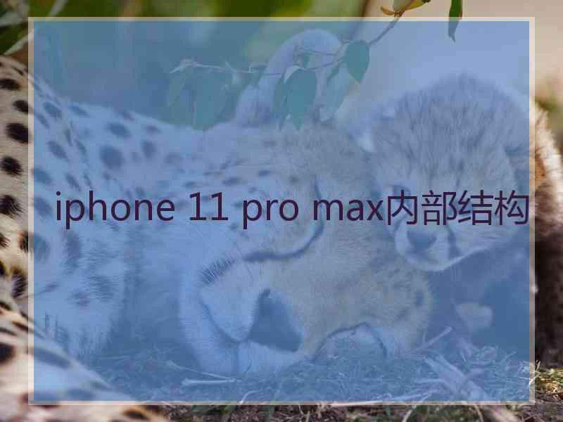 iphone 11 pro max内部结构