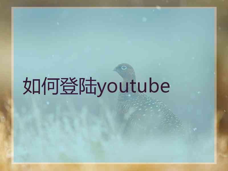 如何登陆youtube