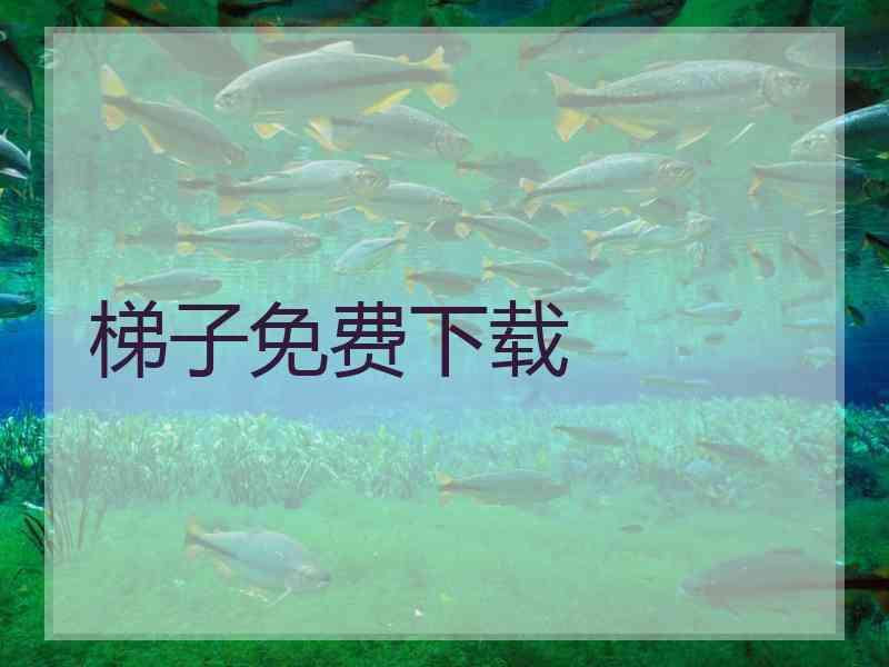 梯子免费下载