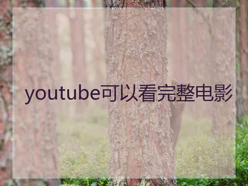 youtube可以看完整电影