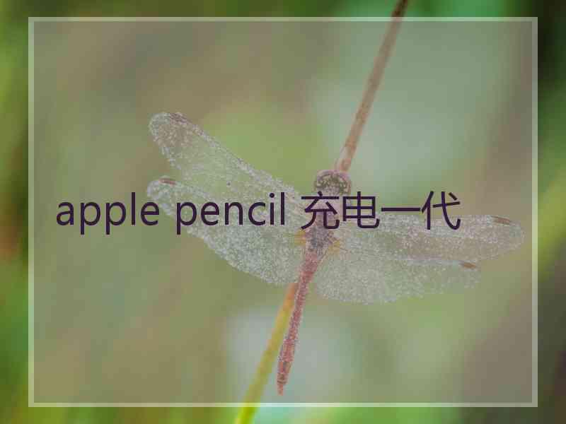 apple pencil 充电一代