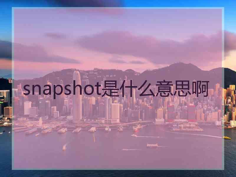 snapshot是什么意思啊