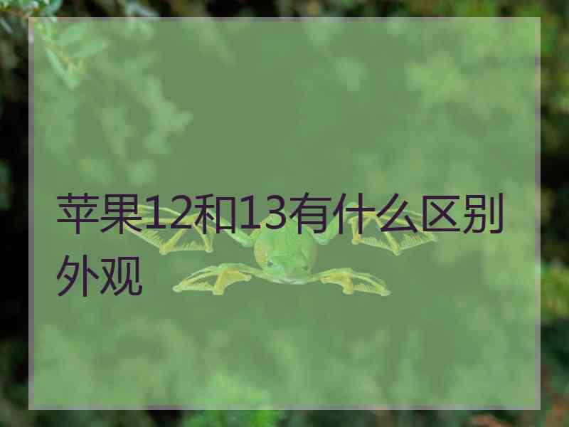 苹果12和13有什么区别外观