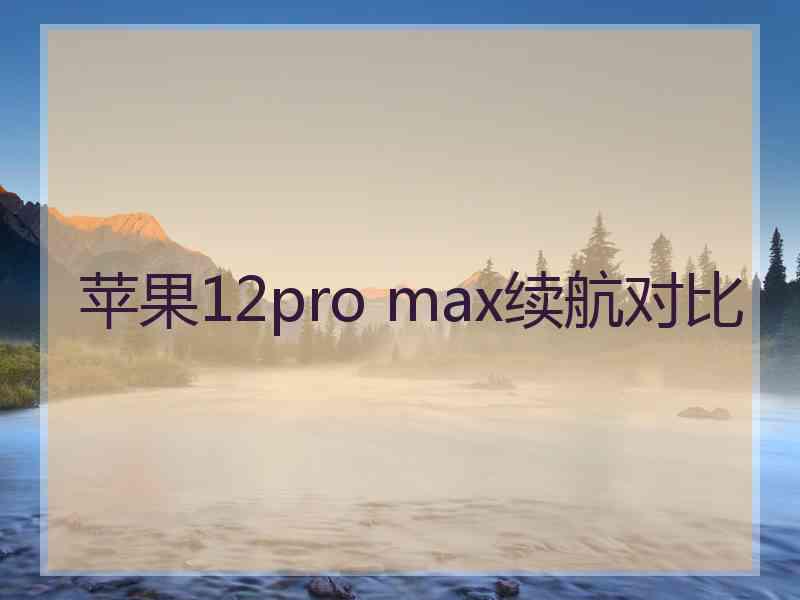 苹果12pro max续航对比