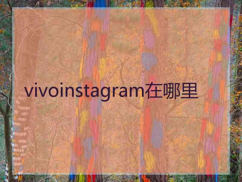 vivoinstagram在哪里