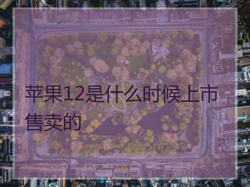 苹果12是什么时候上市售卖的