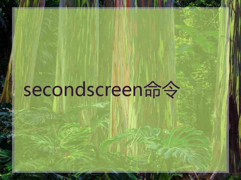 secondscreen命令