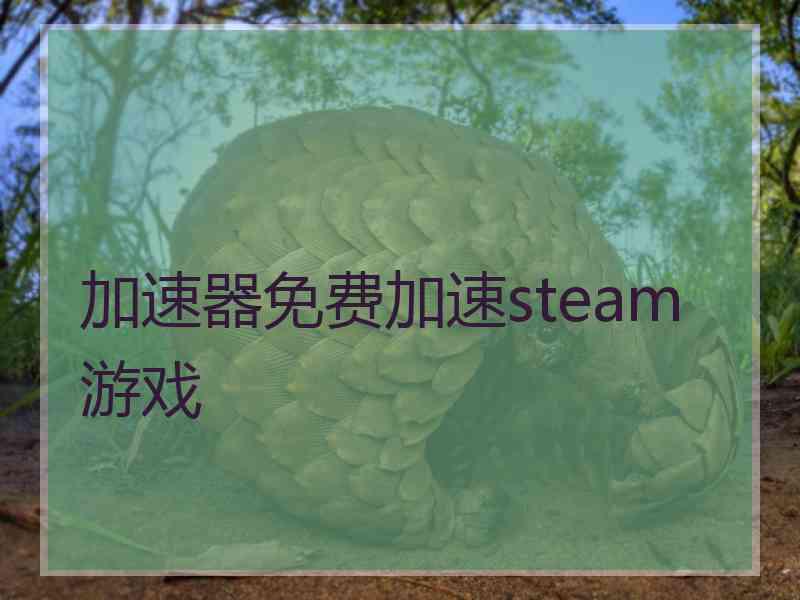 加速器免费加速steam游戏