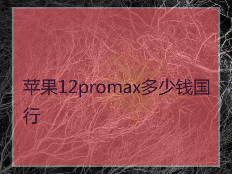 苹果12promax多少钱国行