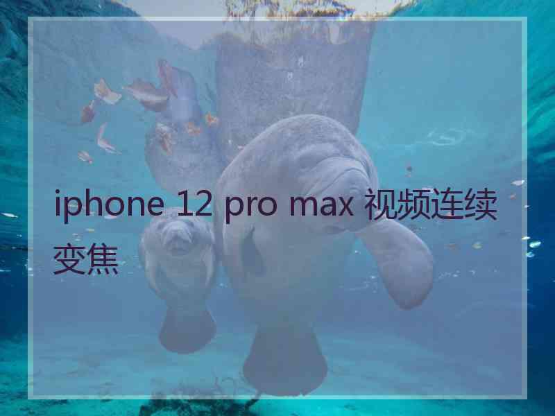 iphone 12 pro max 视频连续变焦