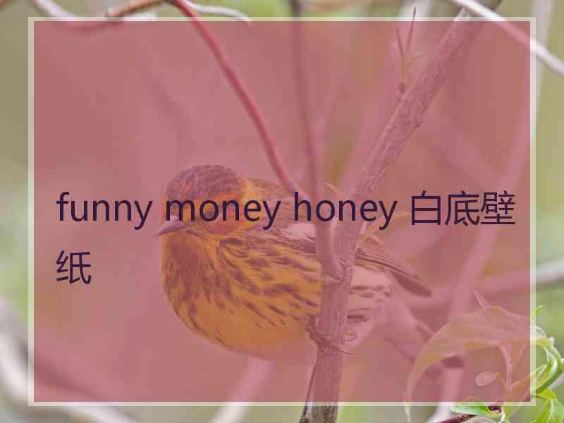 funny money honey 白底壁纸