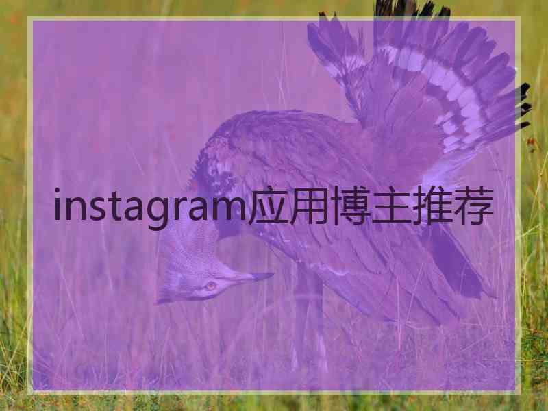 instagram应用博主推荐