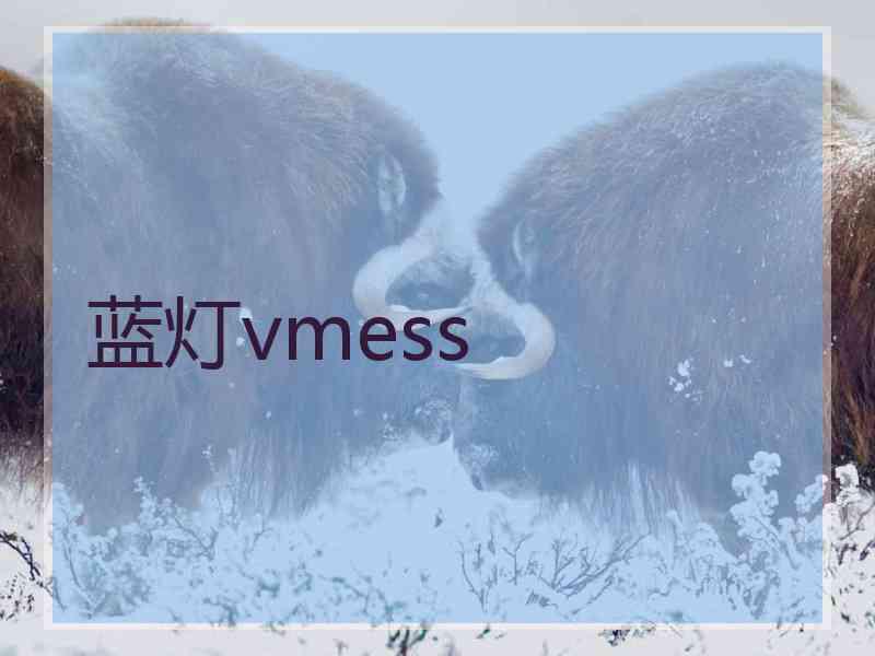 蓝灯vmess