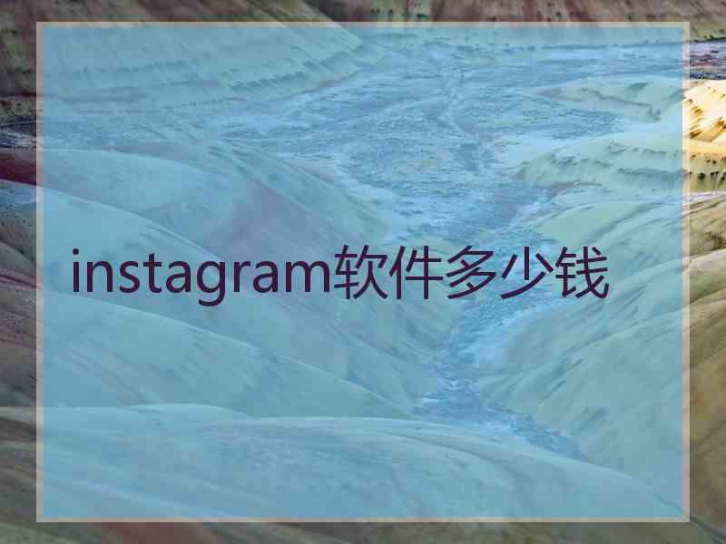 instagram软件多少钱