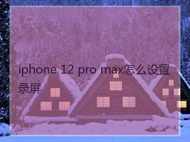 iphone 12 pro max怎么设置录屏