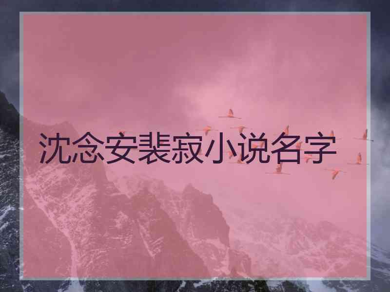 沈念安裴寂小说名字