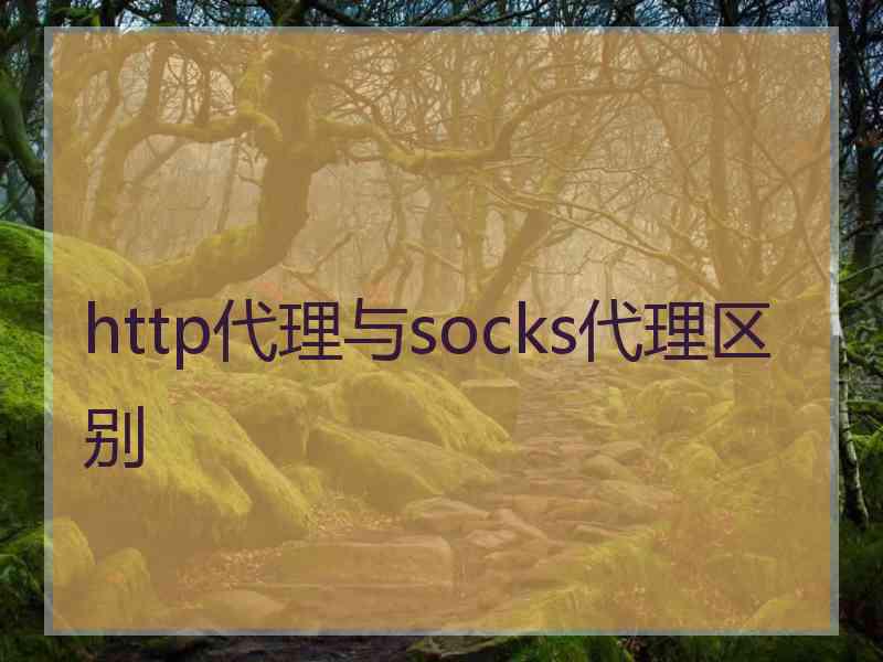 http代理与socks代理区别