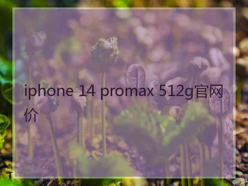 iphone 14 promax 512g官网价