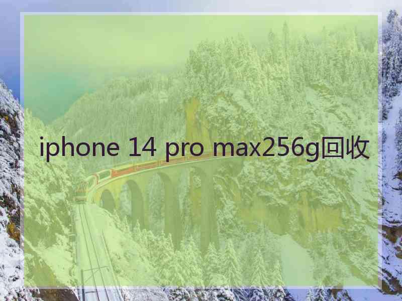 iphone 14 pro max256g回收