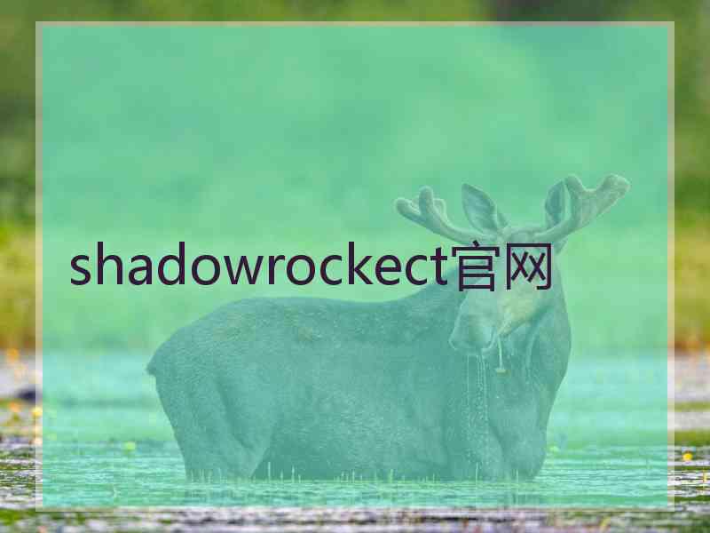 shadowrockect官网