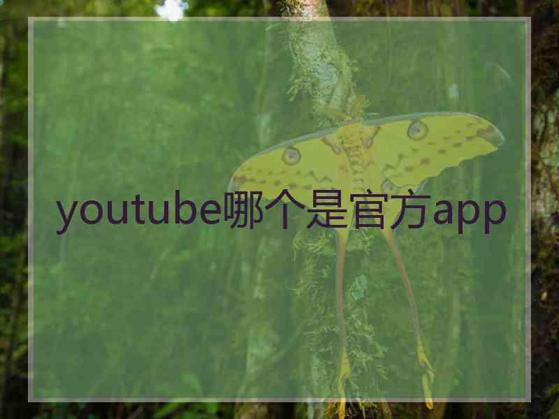 youtube哪个是官方app