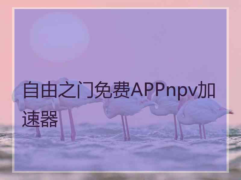 自由之门免费APPnpv加速器