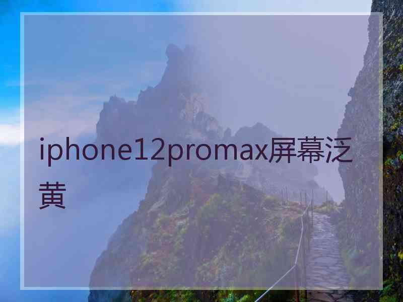 iphone12promax屏幕泛黄