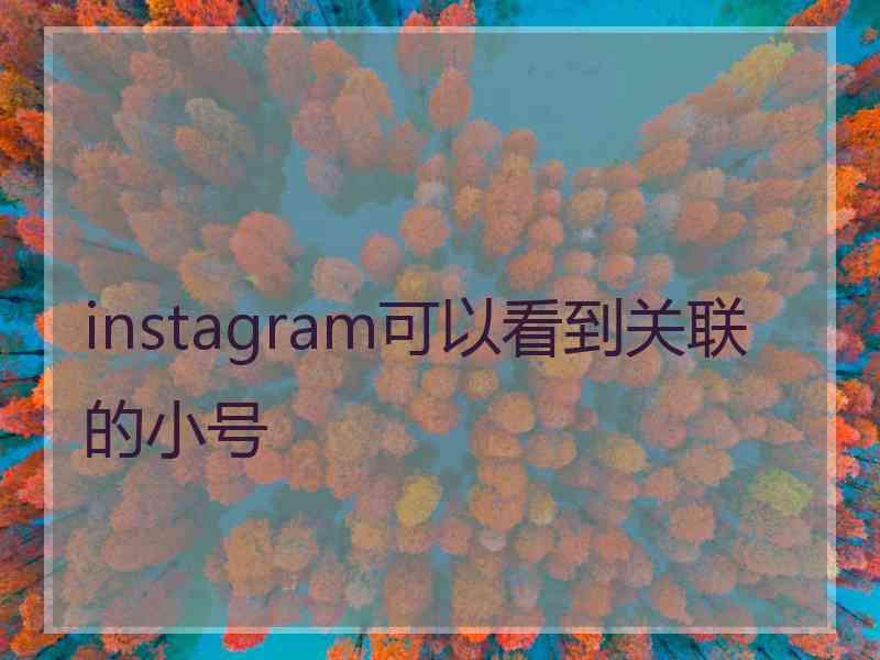 instagram可以看到关联的小号