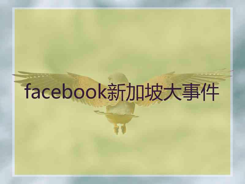 facebook新加坡大事件