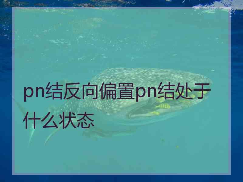 pn结反向偏置pn结处于什么状态