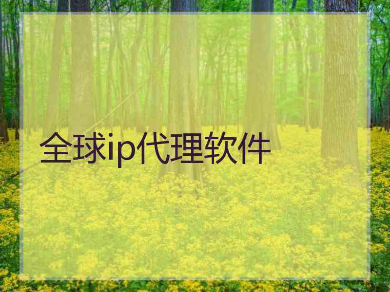 全球ip代理软件