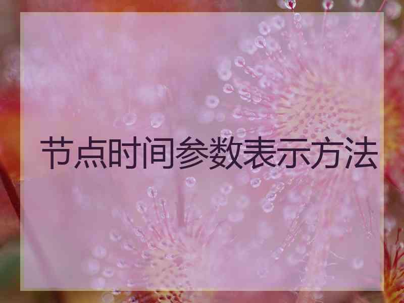 节点时间参数表示方法