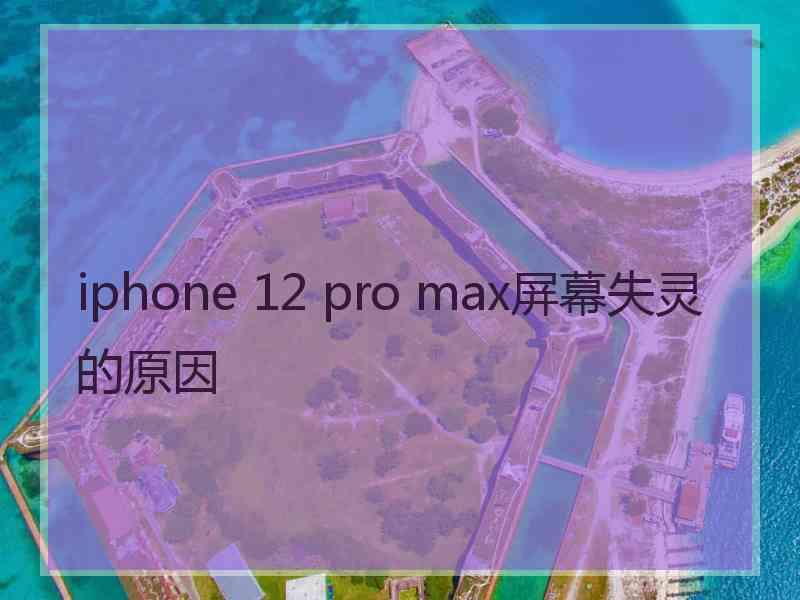 iphone 12 pro max屏幕失灵的原因