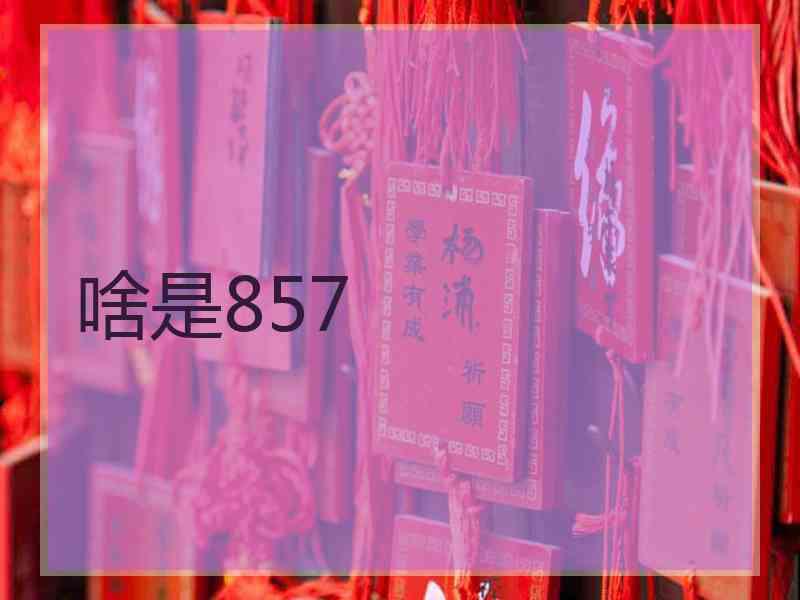 啥是857