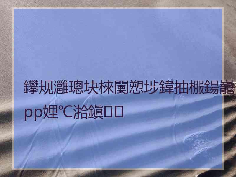 鑻规灉璁块棶闄愬埗鍏抽棴鍚巃pp娌℃湁鎭㈠