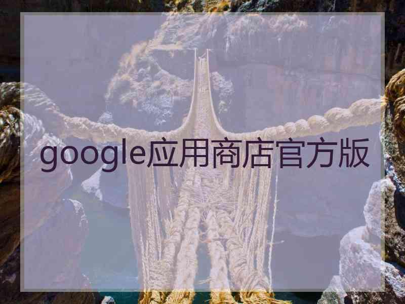 google应用商店官方版