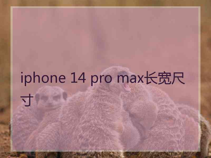 iphone 14 pro max长宽尺寸